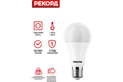 Лампа светодиодная РЕКОРД LED А60 14W E27 3000K, слайд 3