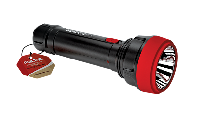 Фонарь аккумуляторный светодиодный "РЕКОРД" PM-450, черный, слайд 1